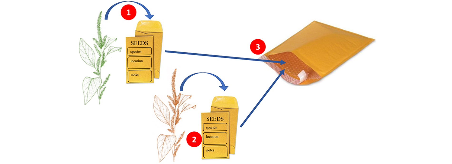 Image of first carousel